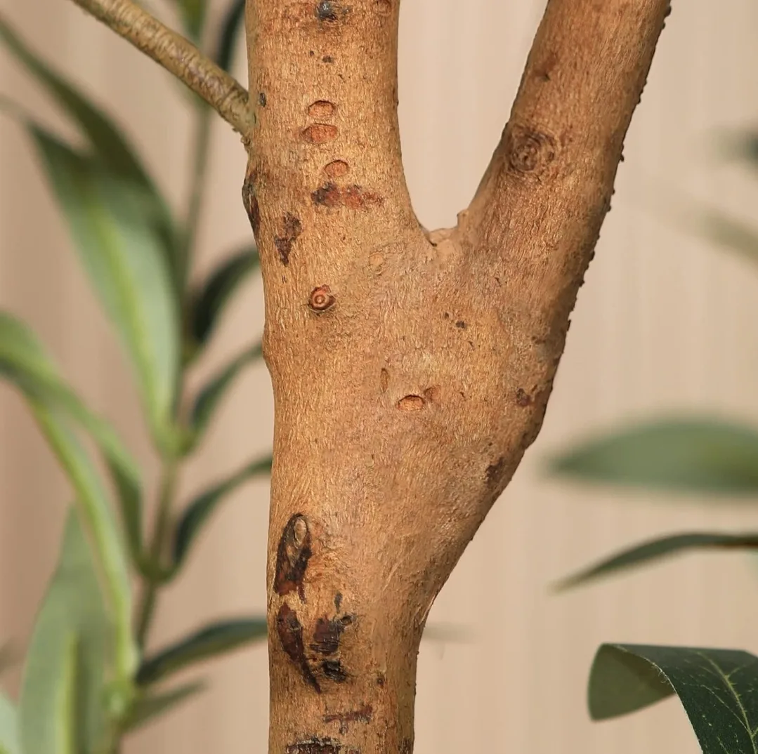 4 ft Artificial Olive Tree image indicator(3)
