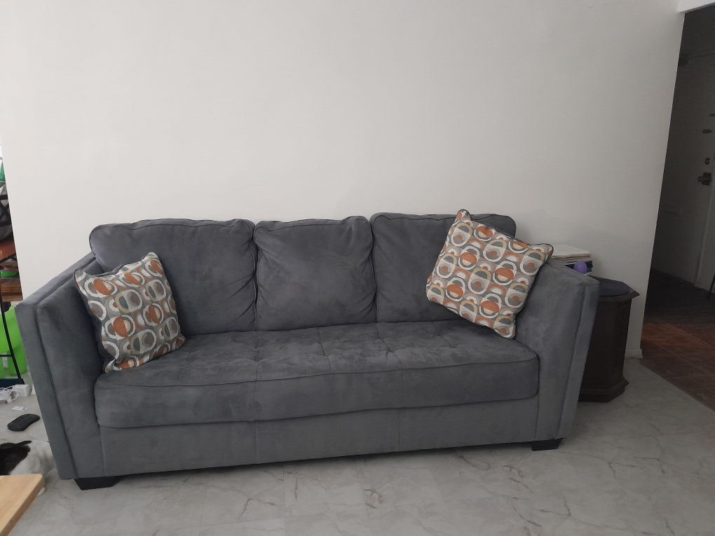 #freecycle Grey Sofa