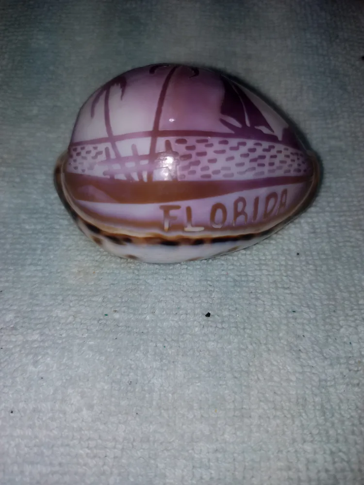 Aquarium Coral & Sea Shells - $18 For All image indicator(4)