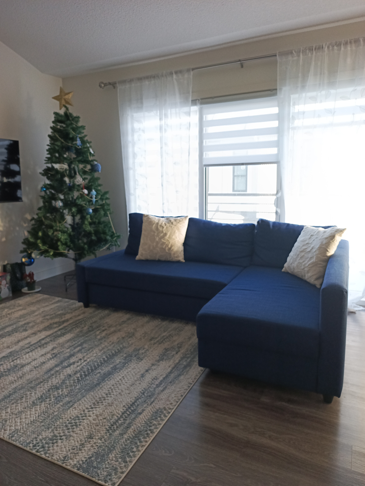 IKEA Friheten Sectional Sofa Bed