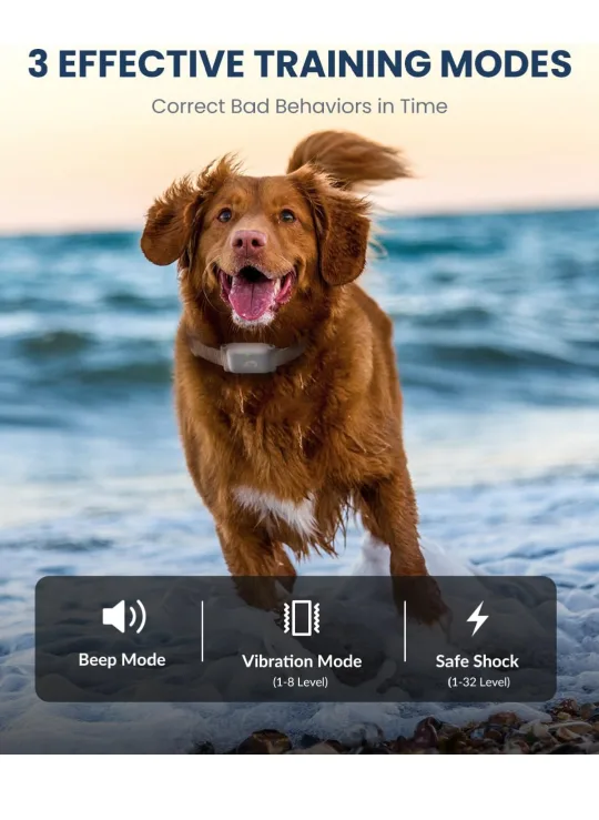 Remote Dog Training Collar with 3 Modes image indicator(2)