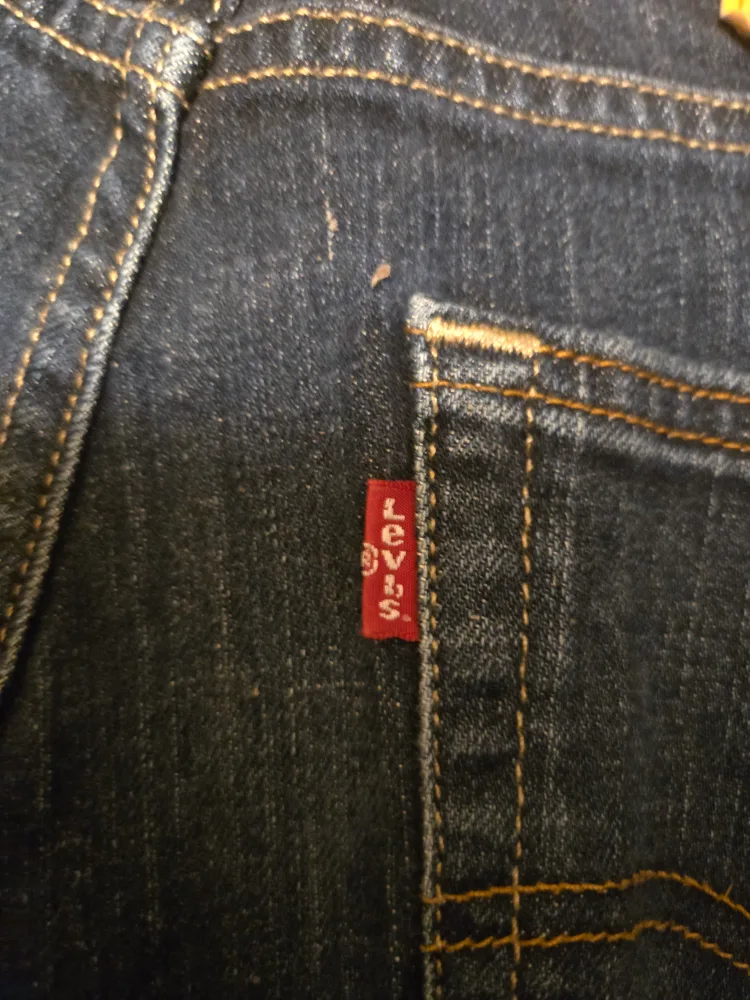 Levi Strauss Pants [W:31,L:32] image indicator(4)