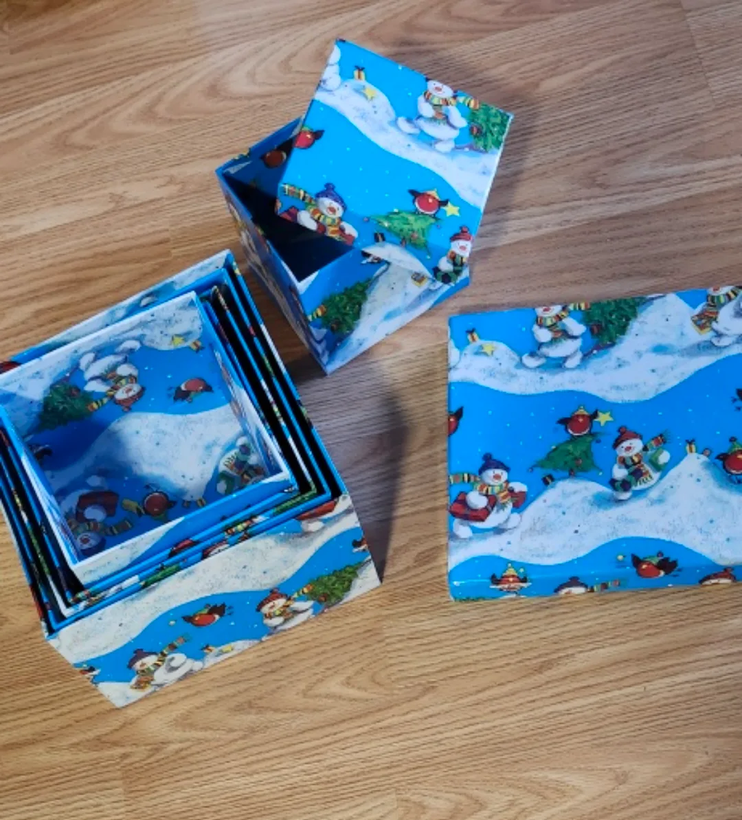 Christmas lights and decor image indicator(5)