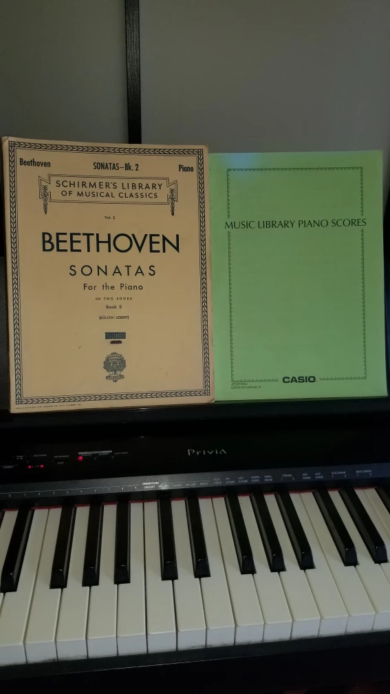 Casio Privia PX-160 Digital Piano - photo 2