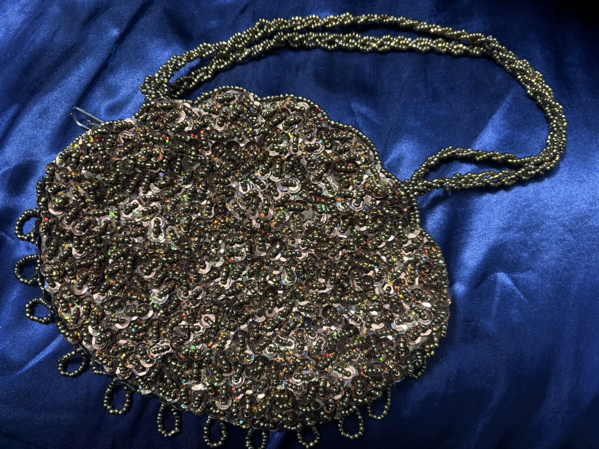#freecycle Fancy Sequins Purse