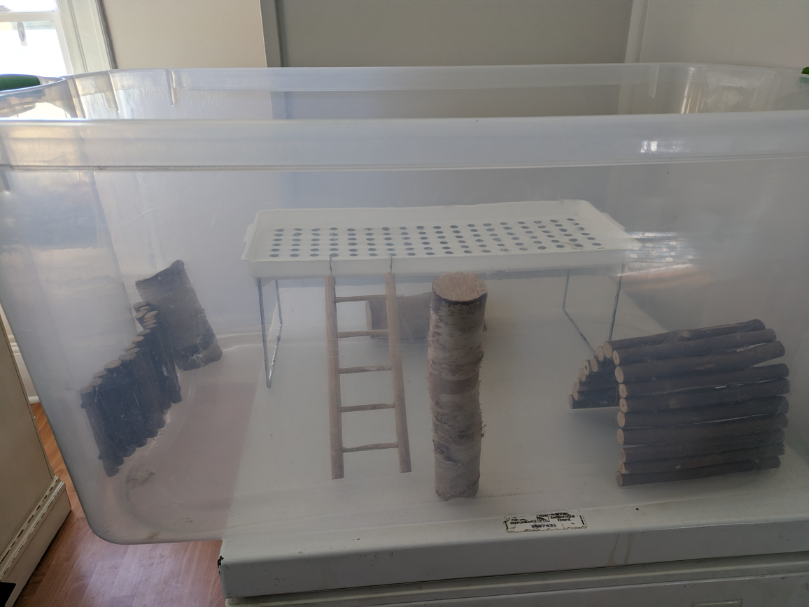 Large Hamster Cage and Accessories - photo 4