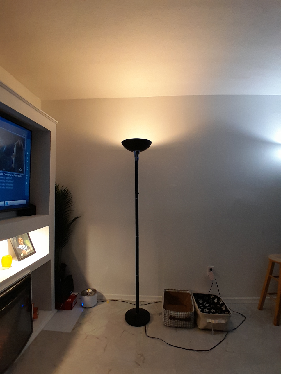 #freecycle Black Floor Lamp - photo 2