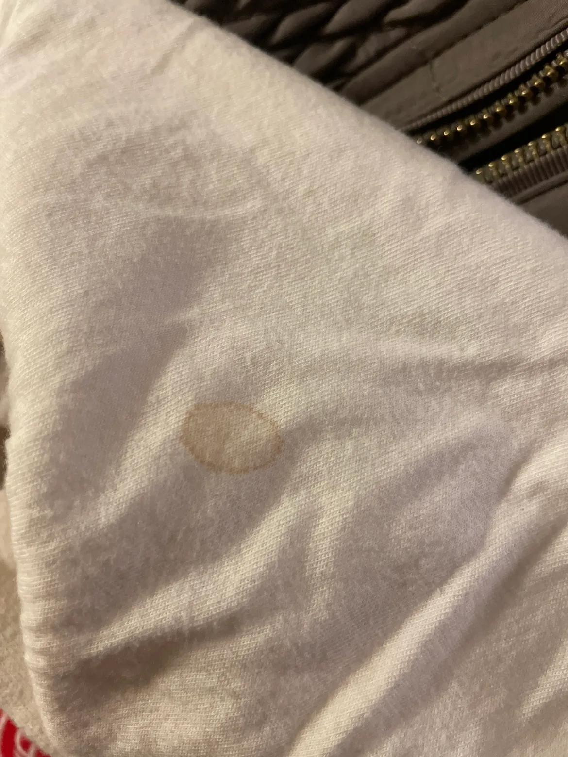 ROOTS “CANADA” hoodie image indicator(3)