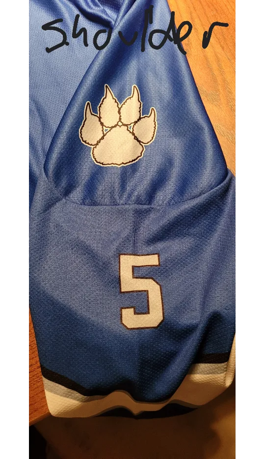 Team set of 16 Men's Hockey Jerseys image indicator(3)