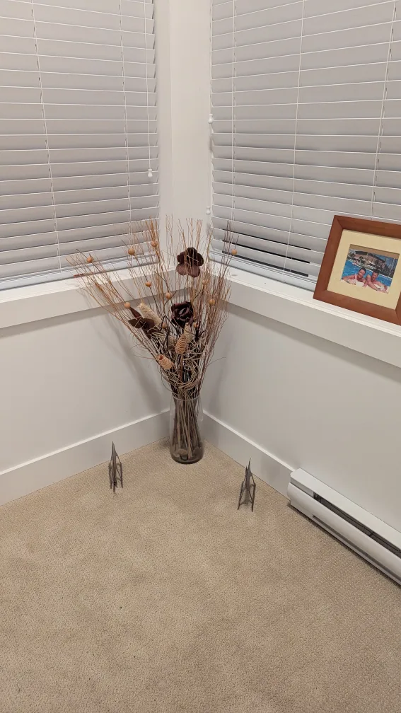 outdoor umbrella image indicator(8)