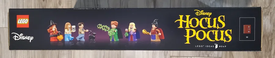 LEGO Idea 21341 Hocus Pocus image indicator(2)