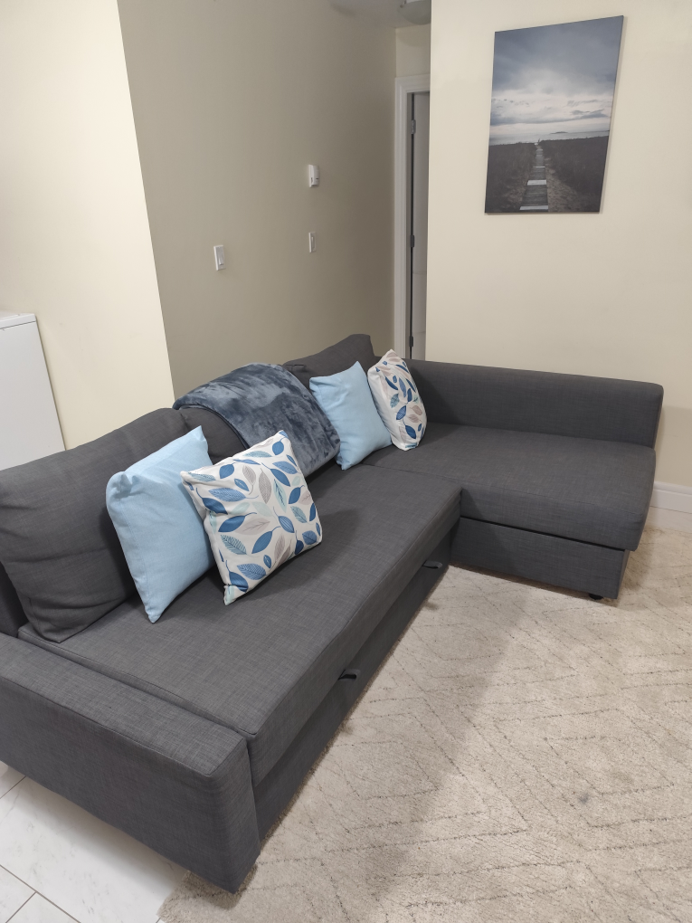 IKEA Friheten Sectional Sofa Bed