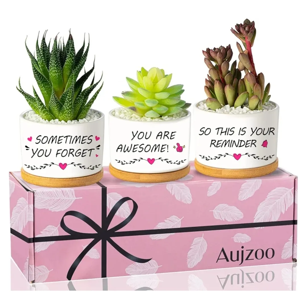 3 x Ceramic Pots with Wooden Base image indicator(8)