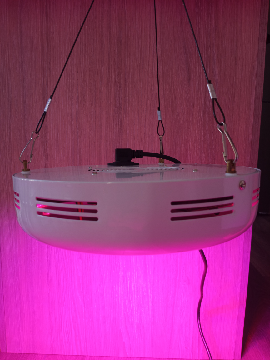 LED Grow Light - perfect for growing herbs and veggies at home