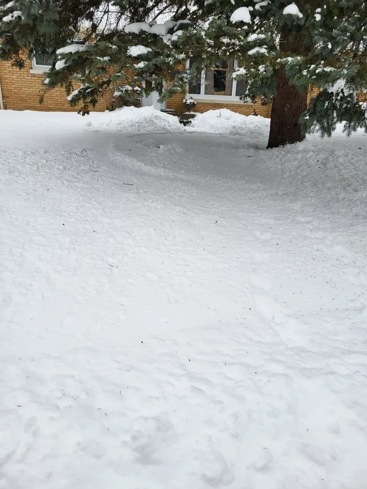 Snow Covered Yard thumbnail