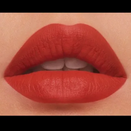 🇨🇦 Brand NEW Estée Lauder Pure Color Lipstick image indicator(3)