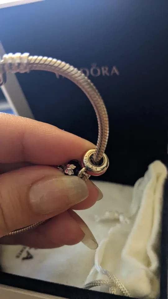 Pandora Charm Bracelet with Charm image indicator(4)