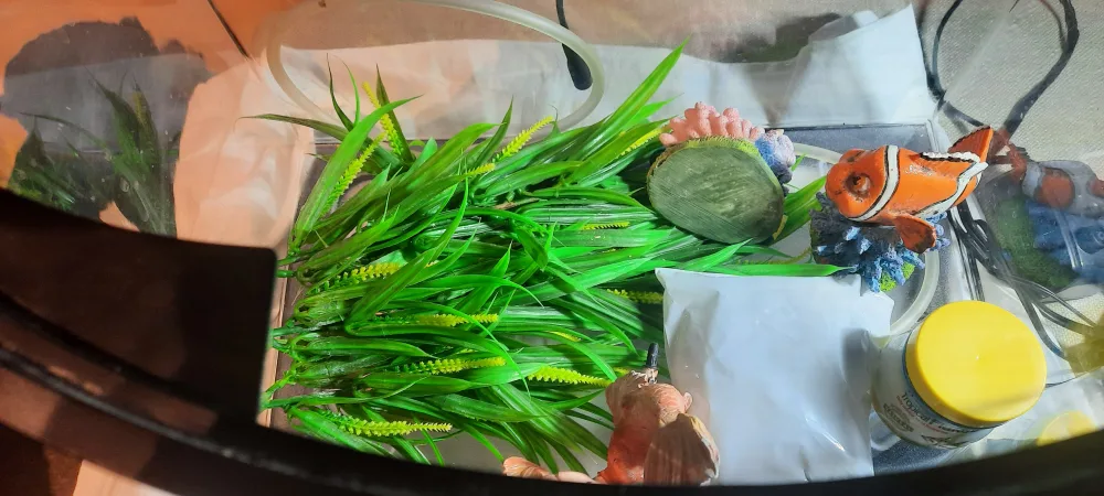 Aqueon MiniBow 5.0 Gallon Aquarium Kit image indicator(6)