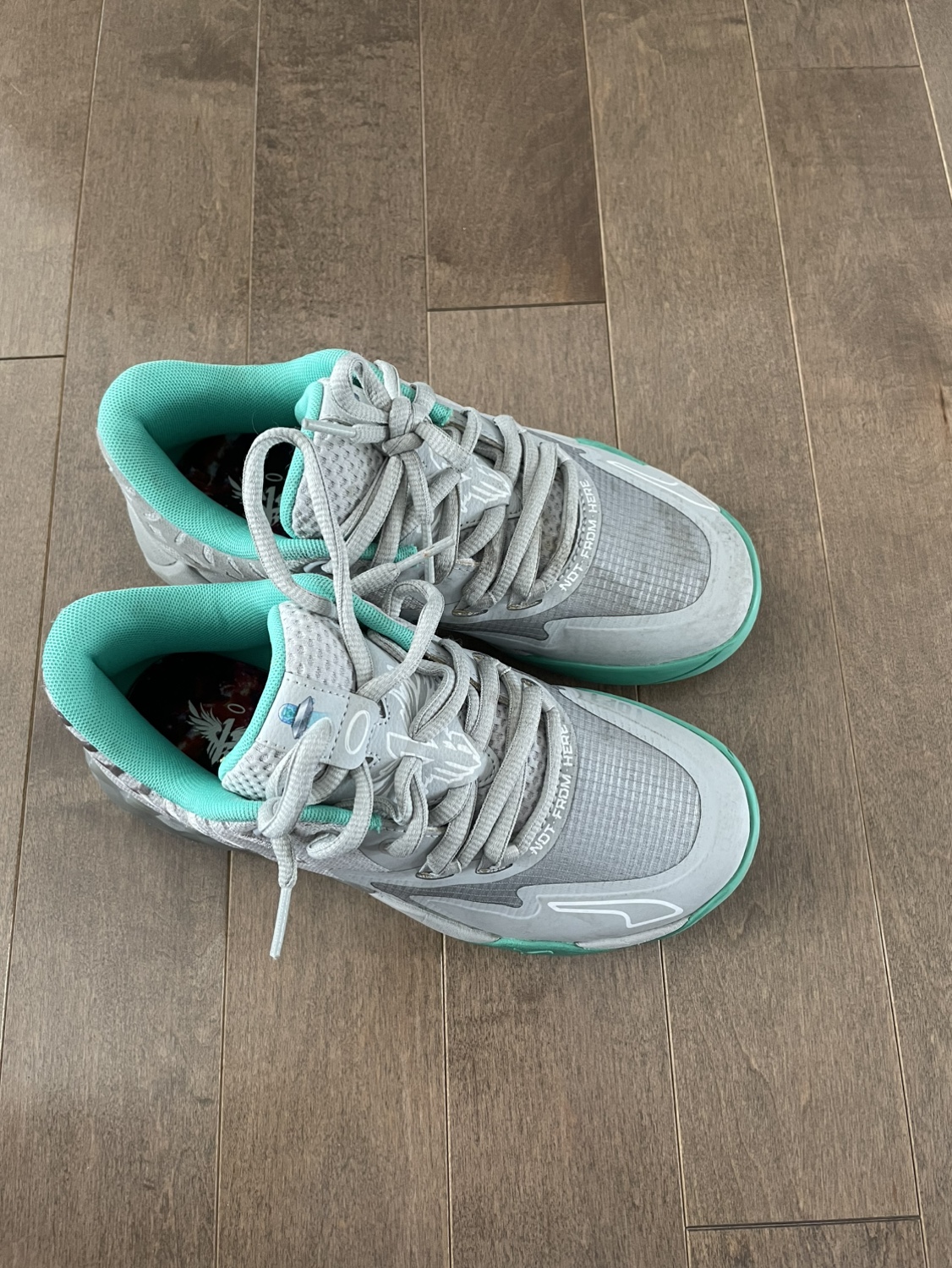 Puma Basketball Shoes Melo