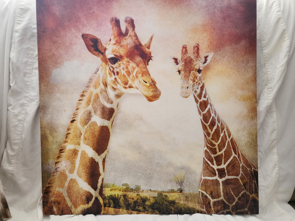 Set of 2 Framed Canvas Prints - Zebras and Giraffes