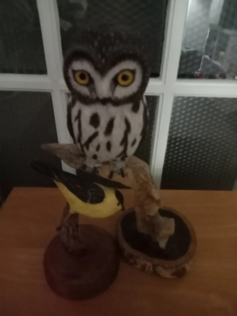 Hand Carved & Painted Owl & Yellow Goldfinch image indicator(2)