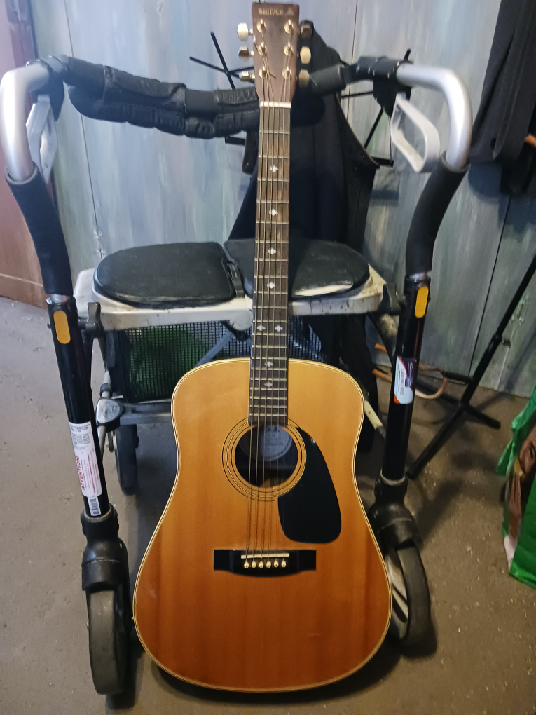 acoustic guitar.....Samick