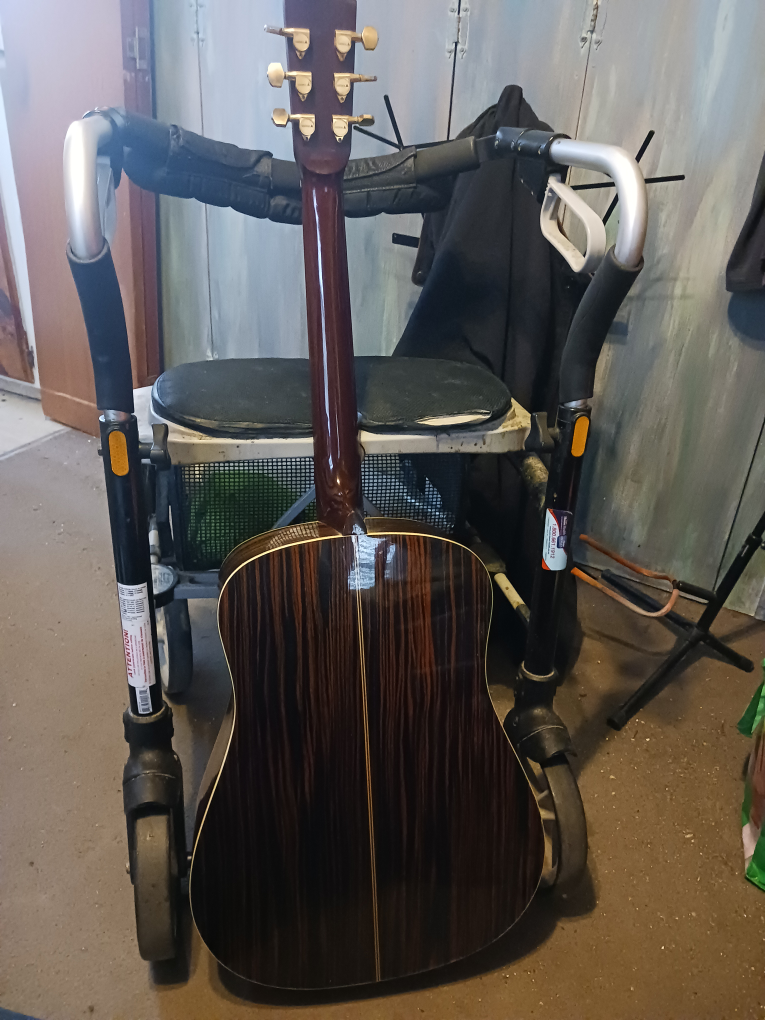 acoustic guitar.....Samick - photo 4