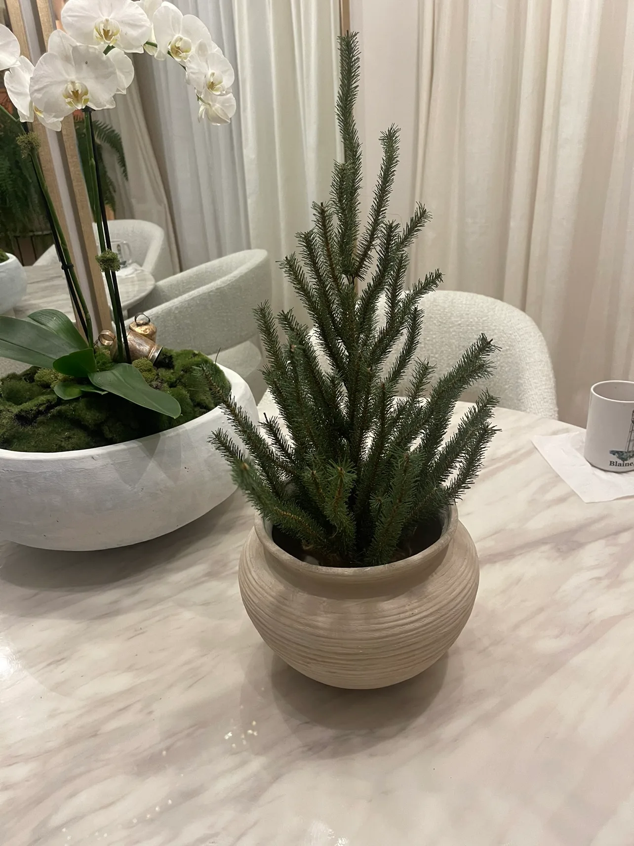 Christmas Winter Tree in Pot image indicator(2)