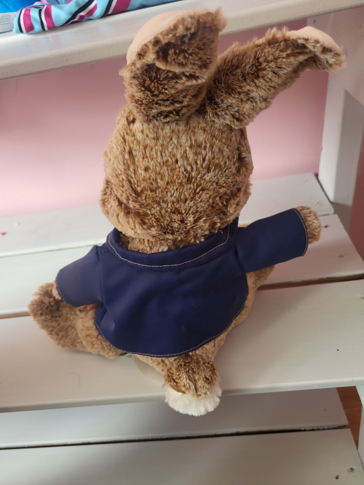 Peter Rabbit Plush Toy - photo 2
