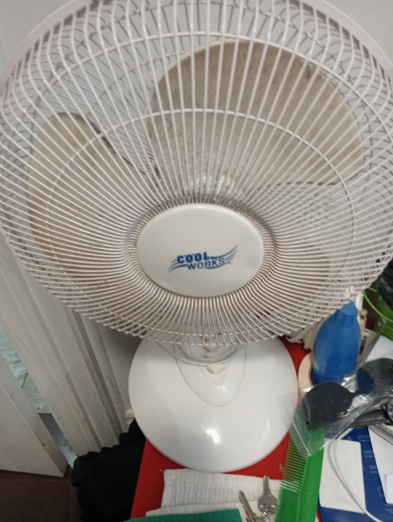 Cool Works  Fan