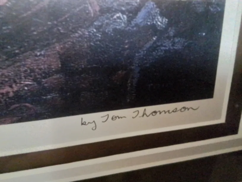 Large NORTHERN RIVER BY TOM THOMPSON💚 image indicator(8)