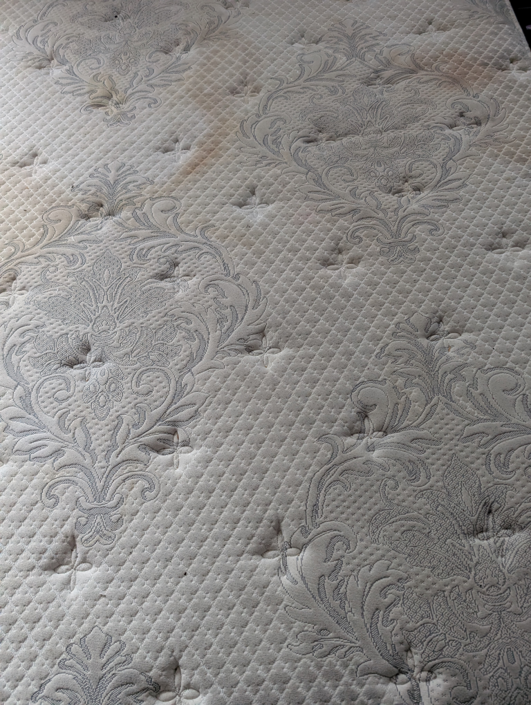 Serta PerfectSleeper Queen Mattress# freecycle