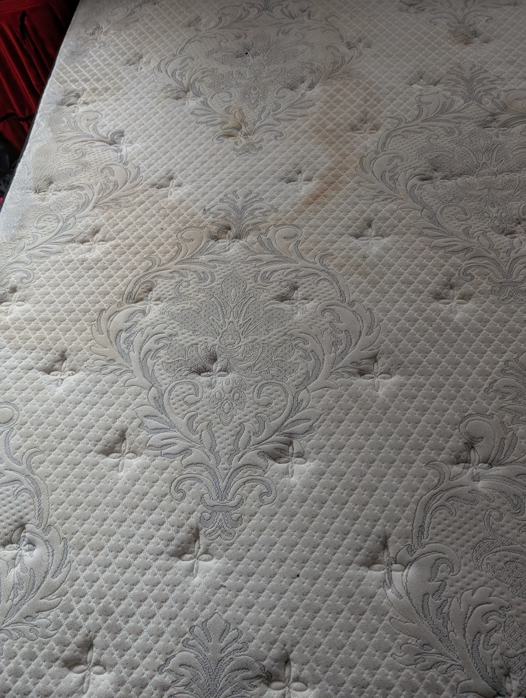Serta PerfectSleeper Queen Mattress# freecycle - photo 2
