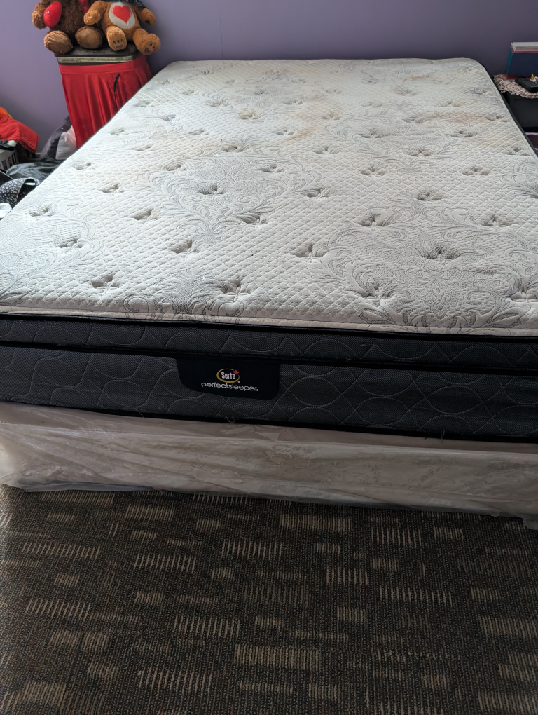 Serta PerfectSleeper Queen Mattress# freecycle - photo 4