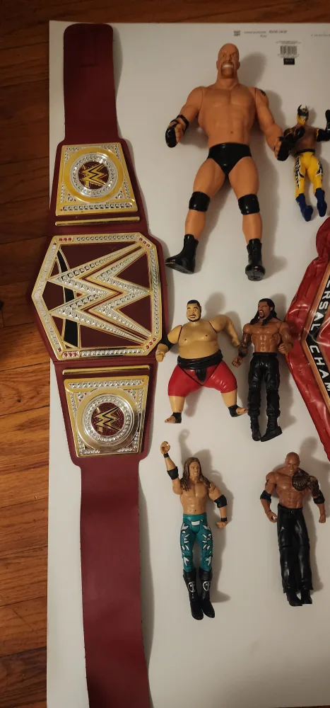 WWE Wrestling Figures and kids Championship Belts image indicator(4)