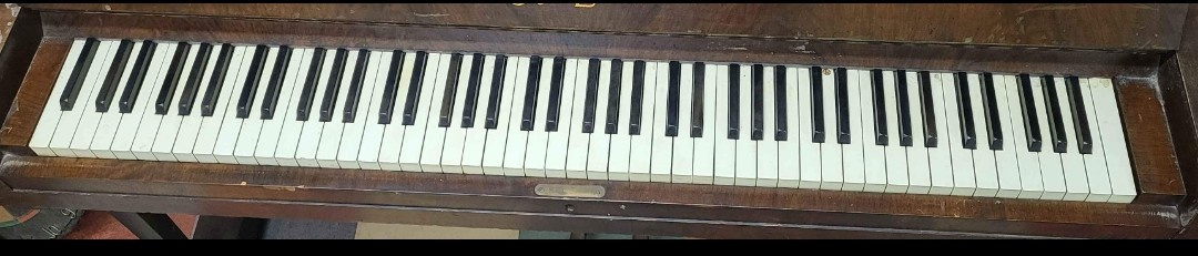Antique Boyd-London Piano - photo 3