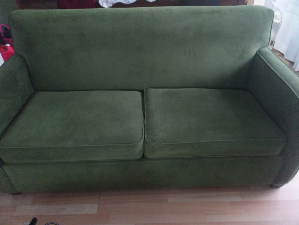 nice Green pull out sofa bed $300