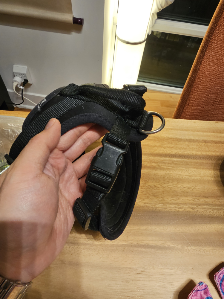 Dog Harness and Leash - photo 2