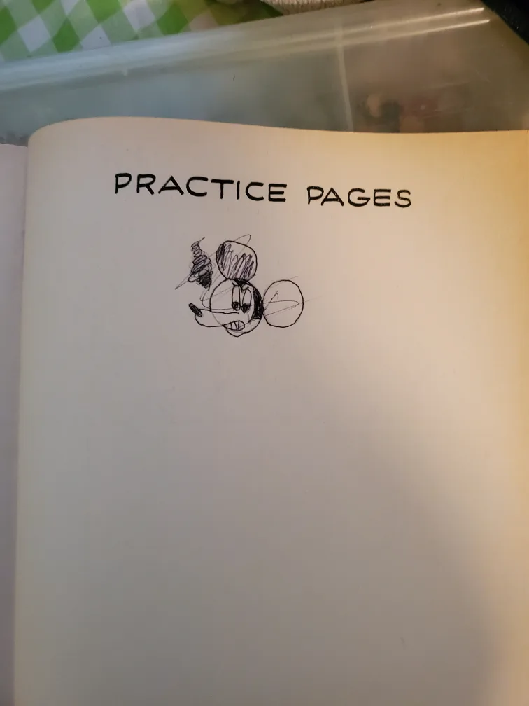 HOW TO DRAW MICKEY MOUSE AND FRIENDS BOOK image indicator(2)