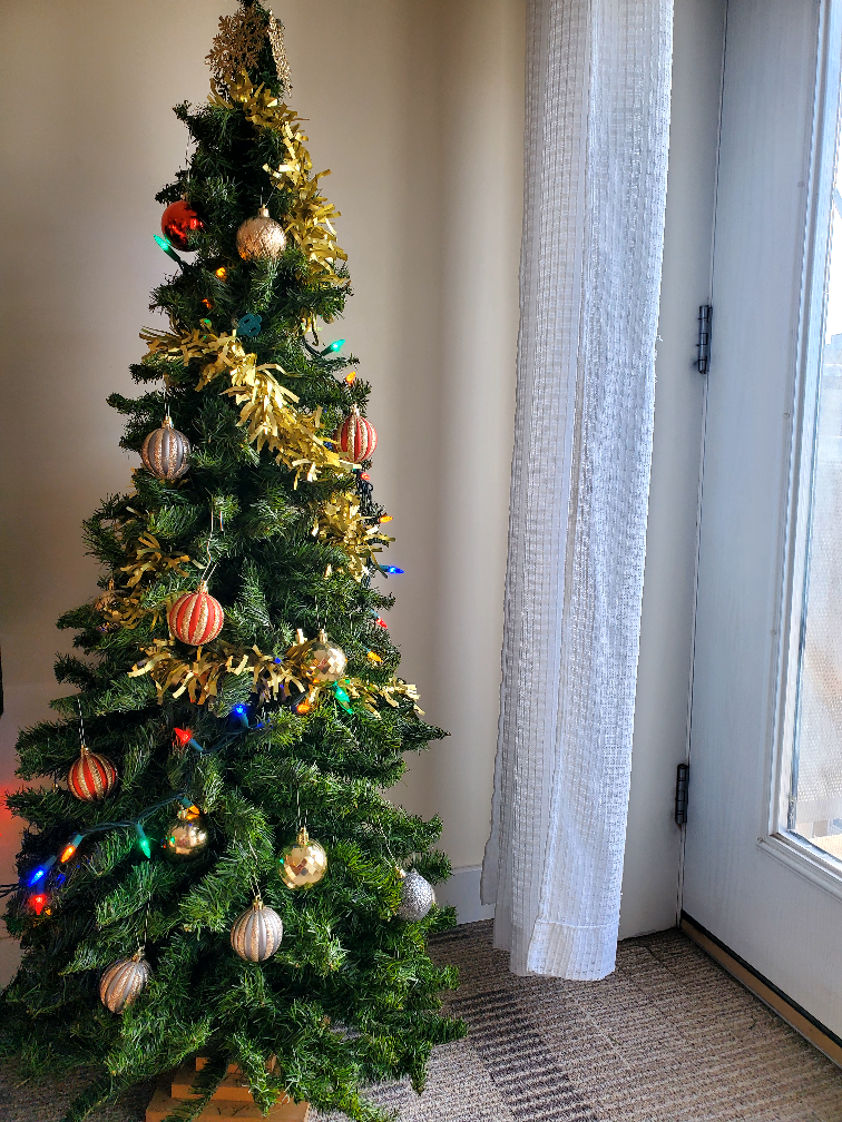 Christmas Tree #freecycle