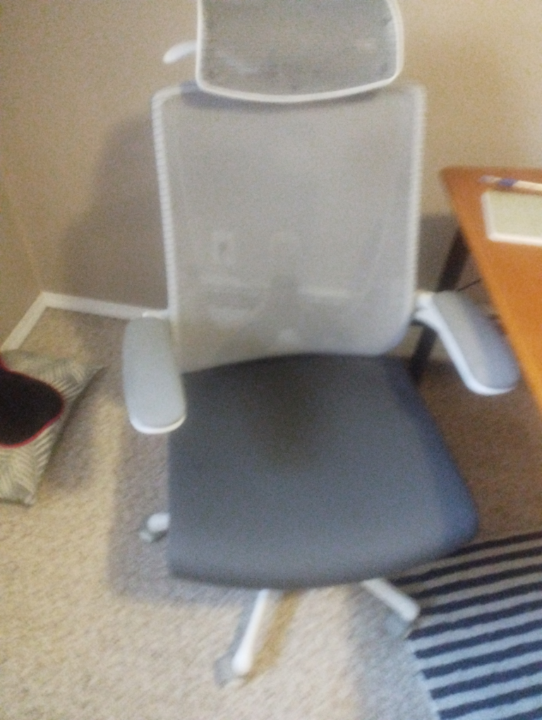 Office Chair with Headrest