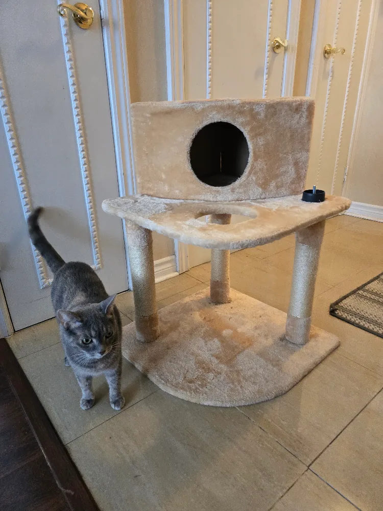 FREE Cat Tree image indicator(3)