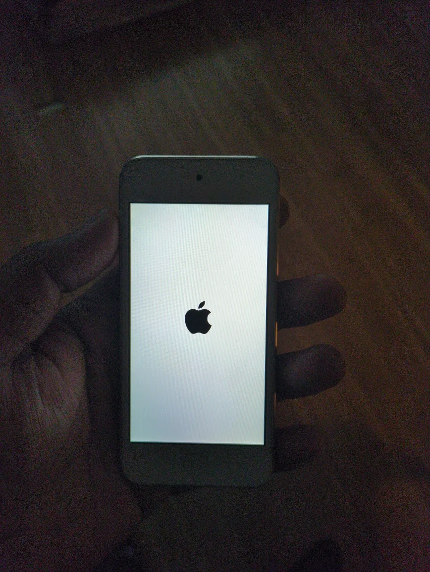 Apple iPod Touch 6th Generation image indicator(3)