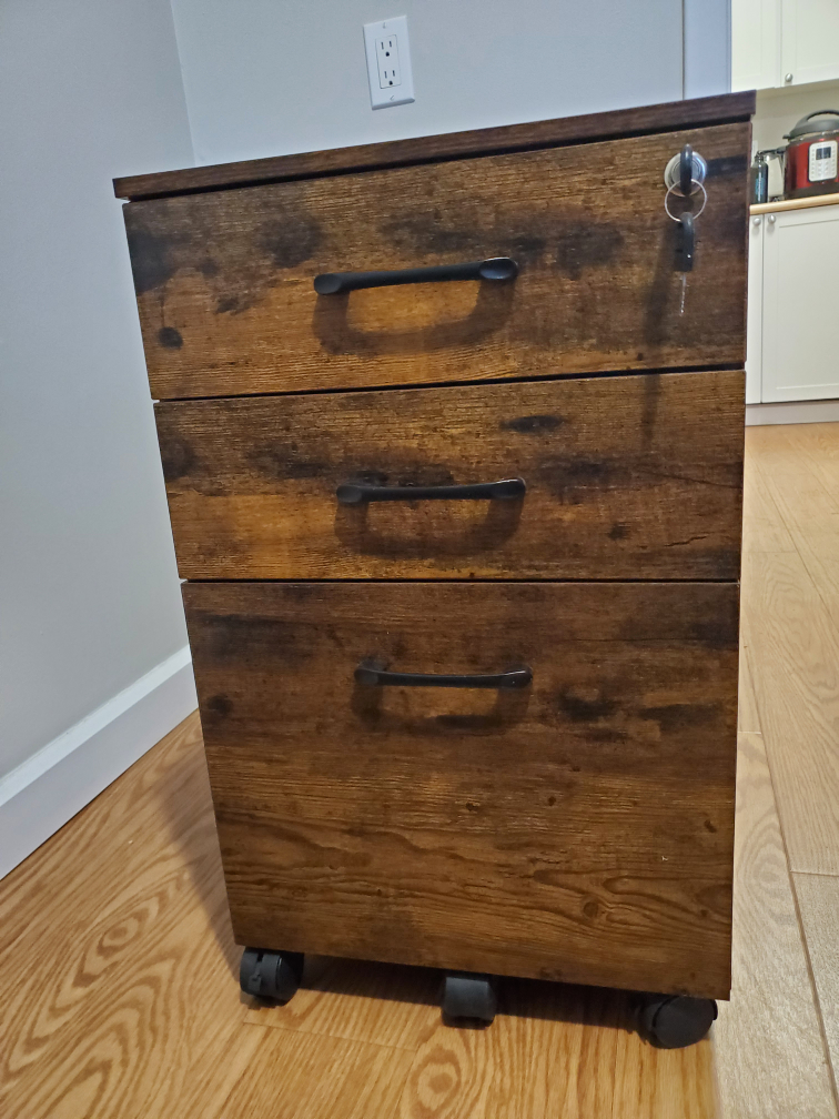 MOVING SALE - 3 Drawer Mobile File Cabinet - photo 4