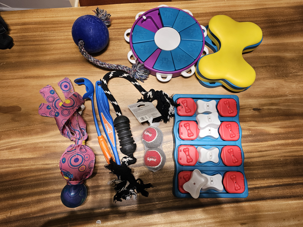 Dog Toys Bundle - 8 Piece