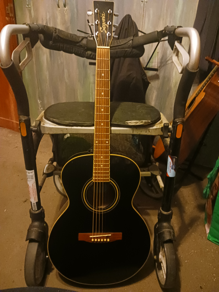 acoustic guitar.....segovia