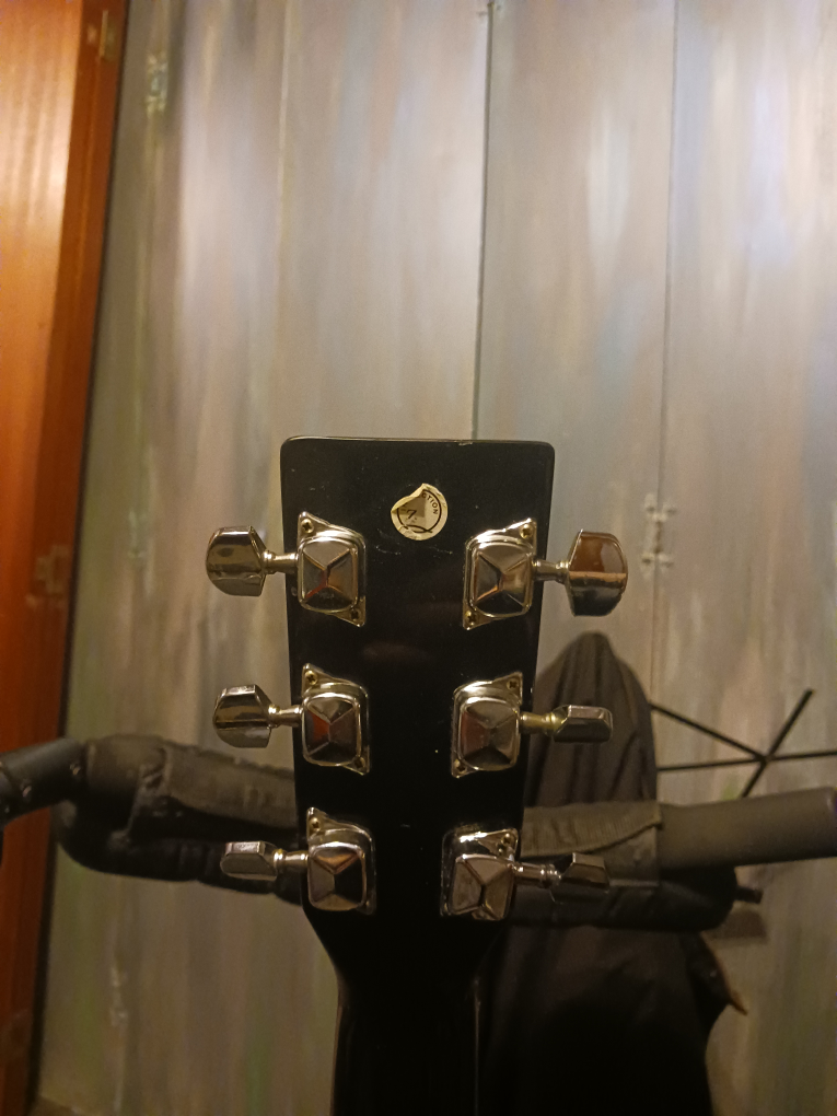 acoustic guitar.....segovia - photo 4
