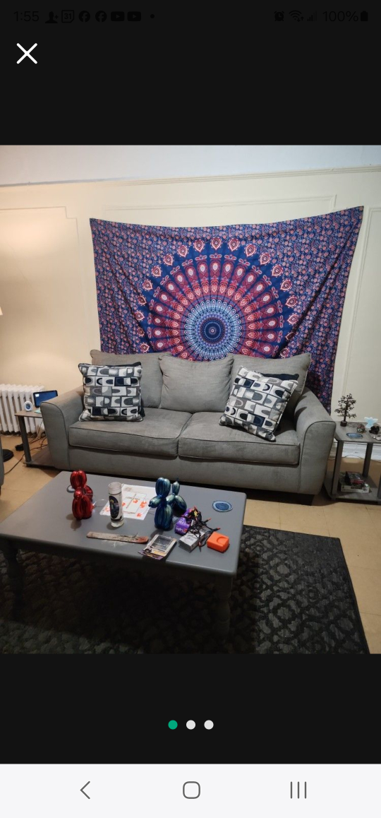 Great Loveseat and Sofa