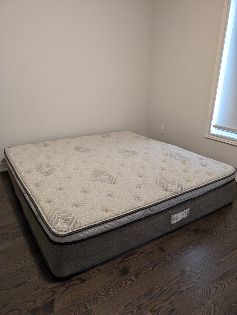 Serta Perfect Sleeper Oasis Mattress (King)