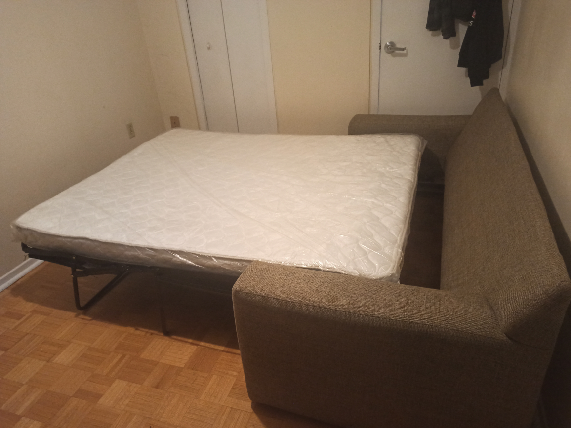 Pull-out couch - photo 2